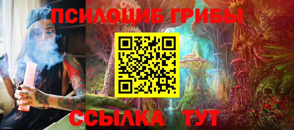 Псилоцибиновые грибы мицелий Лыткарино
